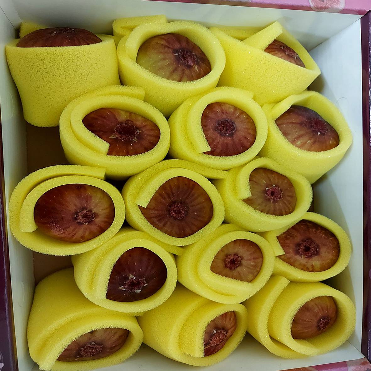 新鮮無花果 15-20入/盒 新鮮無花果 15-20入/盒
